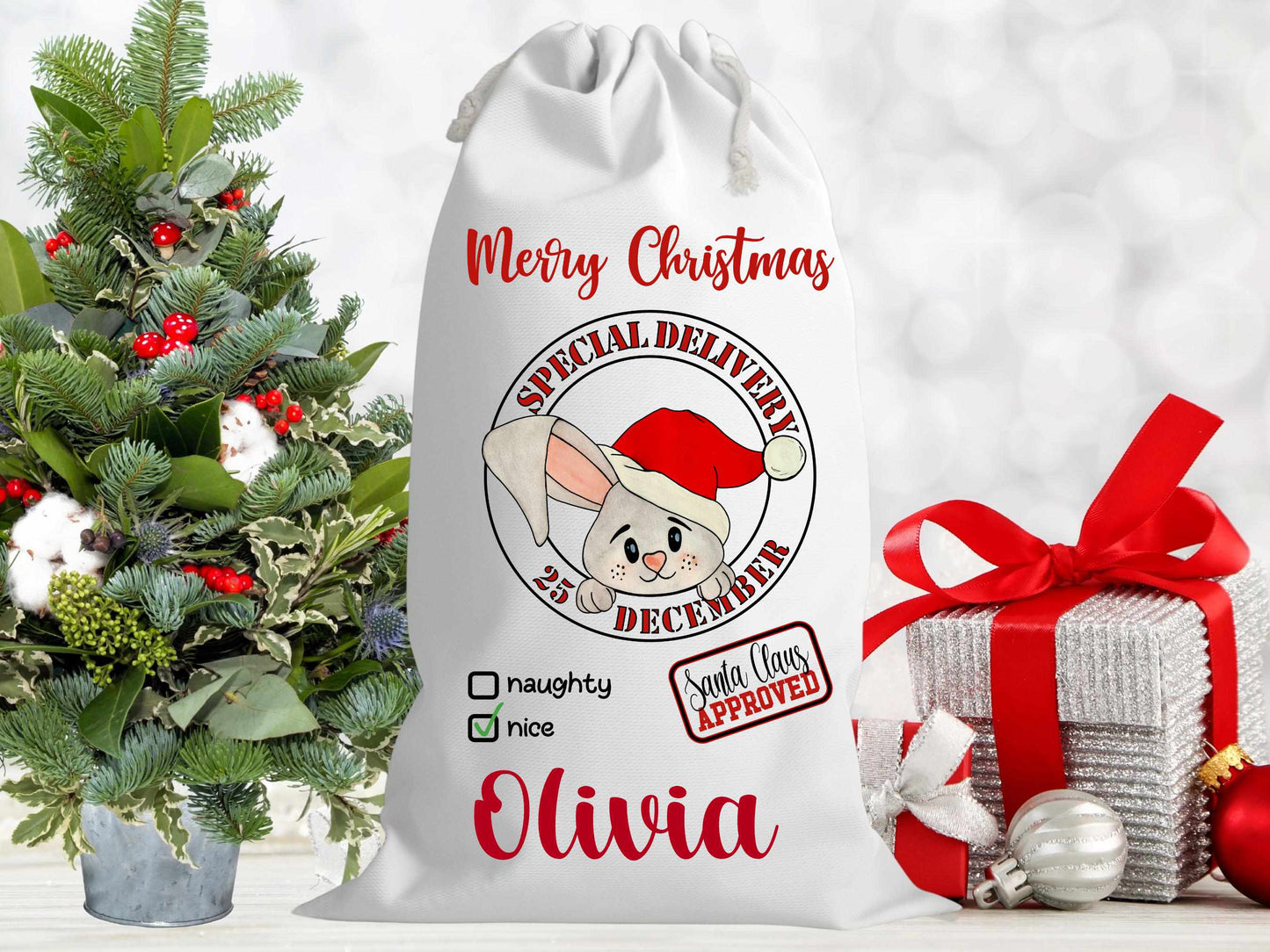 Personalised Christmas Santa Sacks