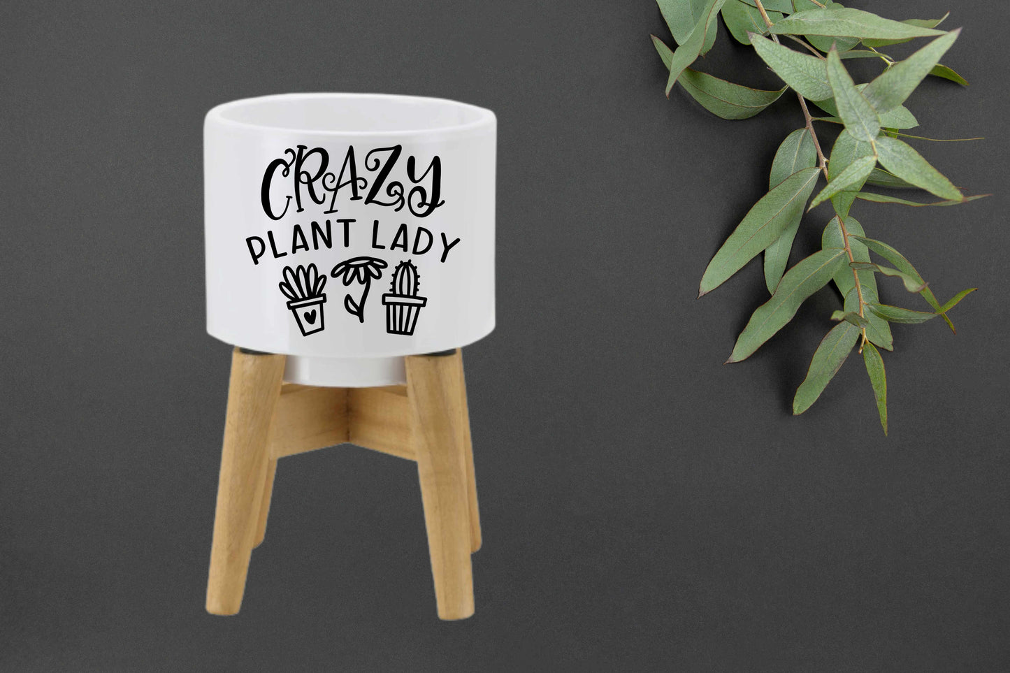 Mini Plant Pot with Quotes