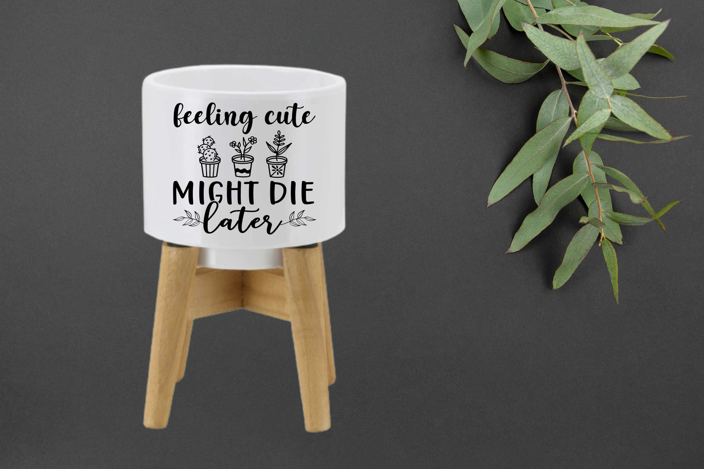 Mini Plant Pot with Quotes